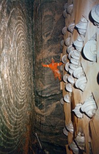 Checking the cutterhead in the tunnel