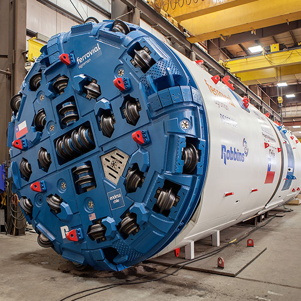 Double Shield Robbins